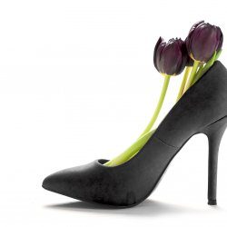 Dark tulisps in a ladies black high heel shoe in profile, isolat